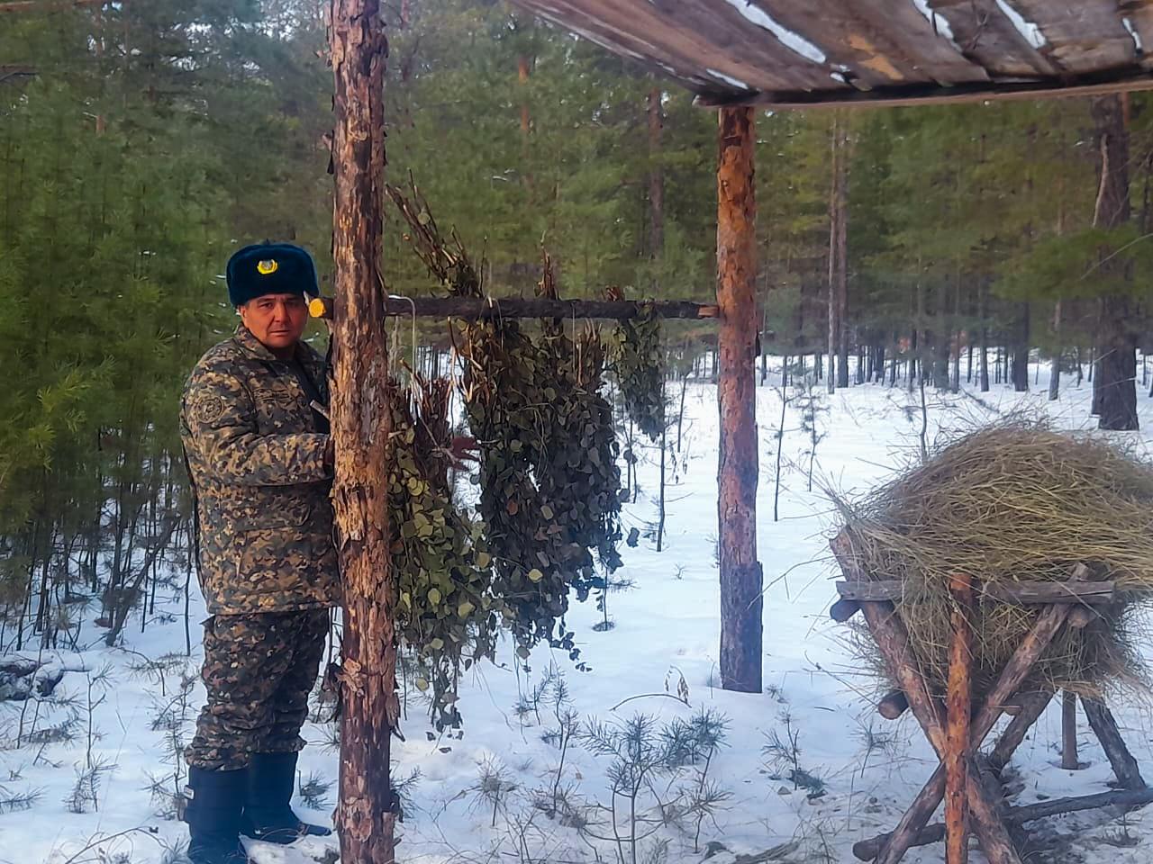 Изображение_WhatsApp_2024-12-30_в_19.59.38_8904a6ab.jpg