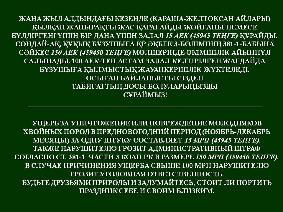 Слайд2.JPG